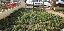 Appartamento 70 mq, 2 camere, zona Stecco