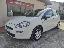 FIAT Punto 1.4 8V 5p. Easypower Young