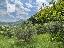 Terreno 2680 mq, zona Galzignano Terme