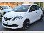 LANCIA Ypsilon 1.0 FireFly 5p.S&S HYBRID Gold