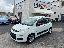 FIAT Panda 1.3 MJT S&S Lounge