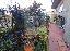 Appartamento 110 mq, soggiorno, 3 camere, zona Rigutino