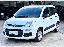 FIAT Panda 1.3 MJT 95 CV S&S Easy