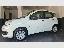 FIAT Panda 1.2 Pop
