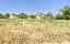 Terreno 2090 mq, zona Sanfatucchio