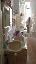 Immobile 60 mq, 2 camere, zona Vomero