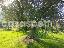 Terreno 78000 mq, zona Altavilla Milicia
