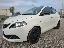 LANCIA Ypsilon 1.0 FireFly 5p.S&S Hybrid Silver