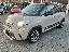 FIAT 500L 1.6MJT 120CV Trekking