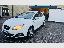 SEAT Ibiza 1.4 5p. Style