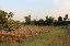 Terreno 5000 mq, zona Marendole
