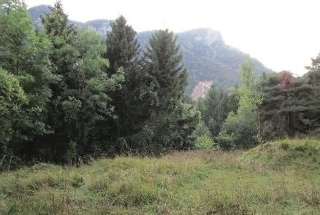 zoom immagine (Terreno 27000 mq, zona Recoaro Terme)