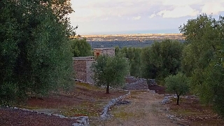 zoom immagine (Rustico 80 mq, più di 3 camere, zona Fasano)