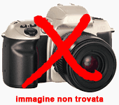 zoom immagine (Attivita commerciale 1141 mq, zona Quinto di Treviso)